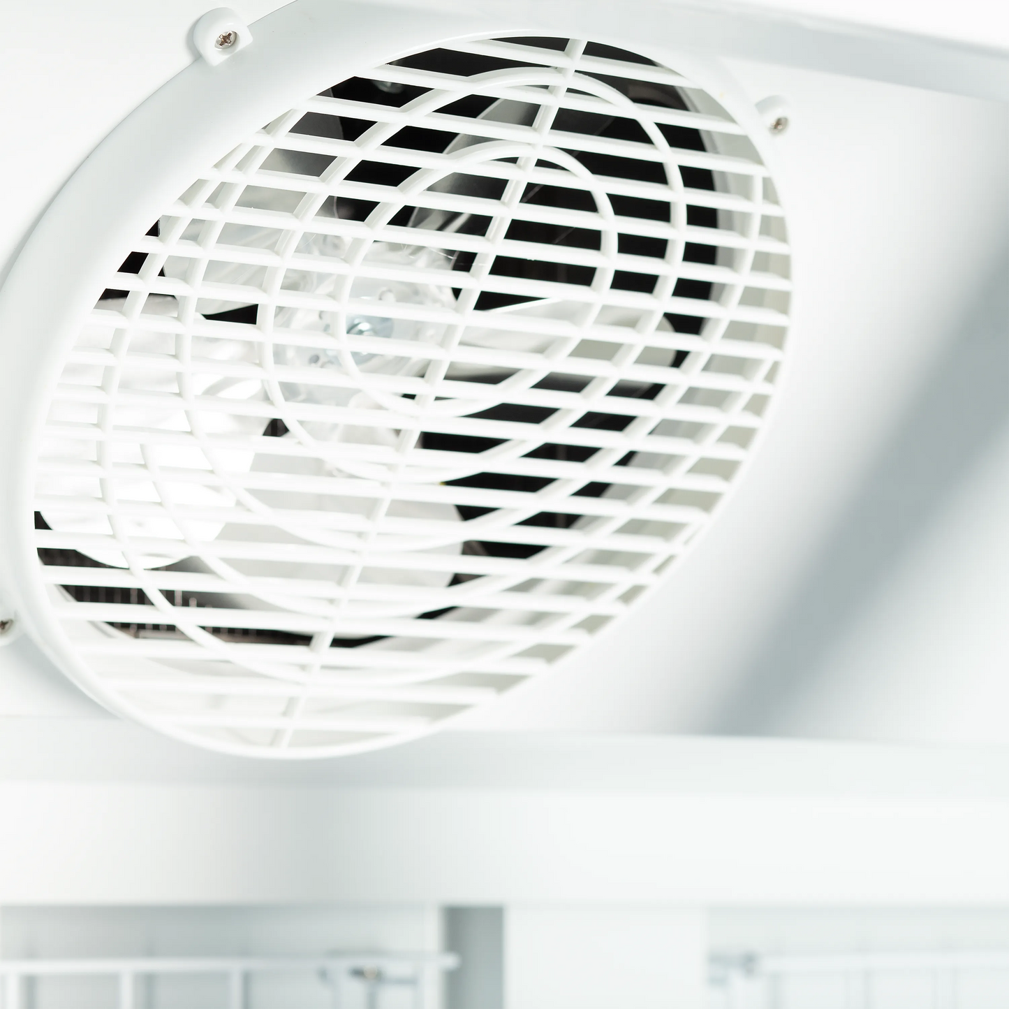 Congélateurs verticaux de vitrine  Atom Maxi F1DB Tefcold