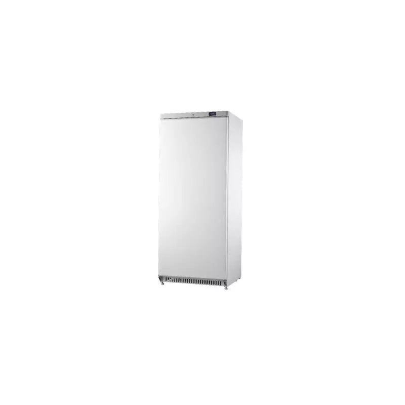 Armoire froide positive ABS 1 porte 600 L tropicalisé