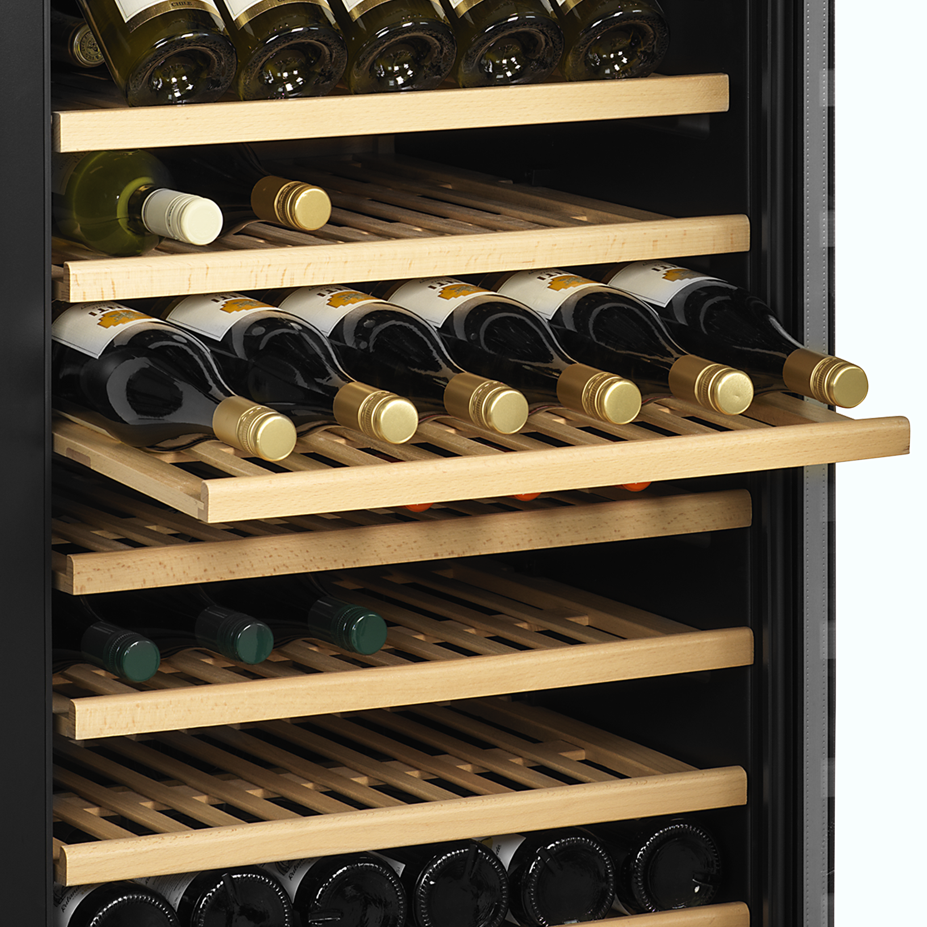 Cave à vin - TEFCOLD - TFW100-S-34135 by TEFCOLD